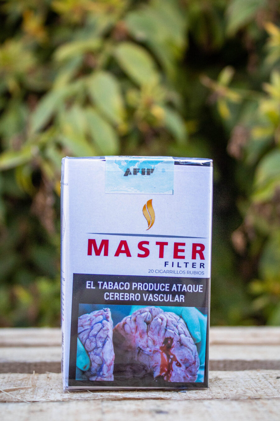 MASTER FILTER X 20 KS